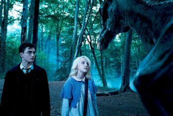 Animais Fantásticos e Onde Habitam será filmado no mesmo estúdio de Harry Potter Animais Fantásticos e Onde Habitam será filmado no mesmo estúdio de Harry Potter